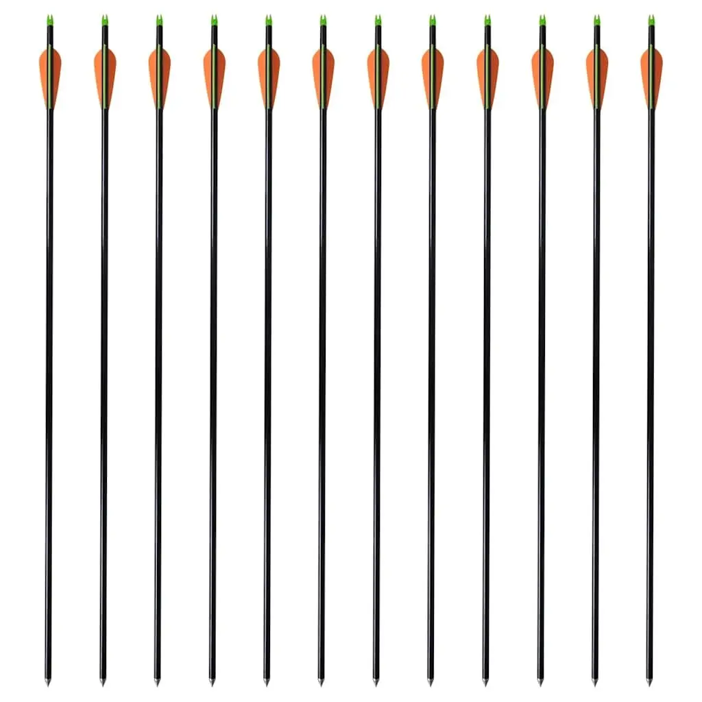 Fiberglass Arrows 30 Inch Compound Bow Archery Hunting Sports Outdoor 12 Pack