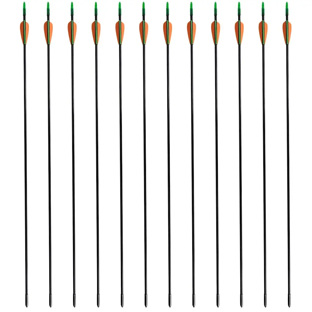 Recurve Bow Arrows 30" Fiberglass 12 Pieces Set Archery Shooting Multicolour