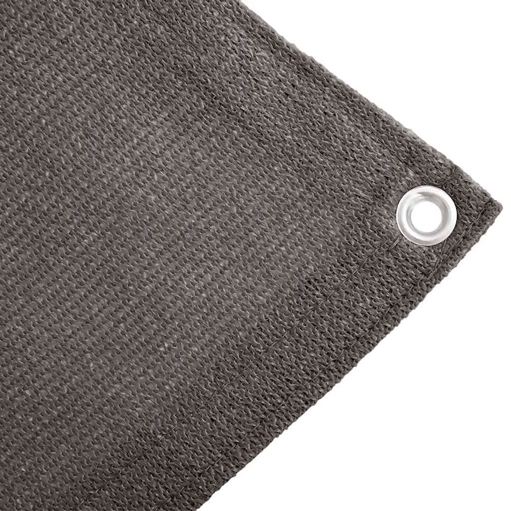 Tent Carpet 250x600 cm Anthracite Outdoor Camping Ground Sheet Mat