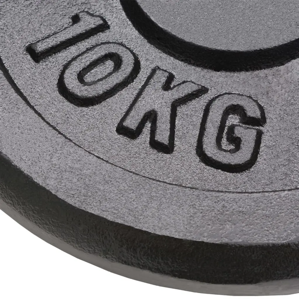 Weight Plates Black 10 kg Cast Iron for Barbell Dumbbell Home Gym