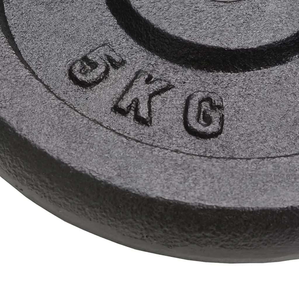 Cast Iron Weight Plates 4 Pieces Set 10kg 5kg Barbell Dumbbell Home Gym