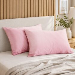 Concise Twin Pack of Hypoallergenic Mulberry Silk Pillowcases