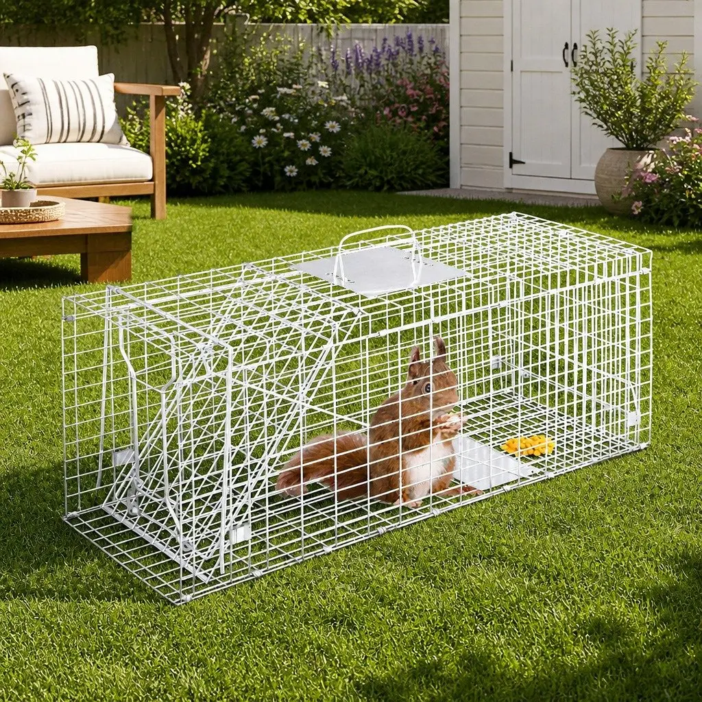 Animal Trap Cage, Humane Live Capture 79x28cm
