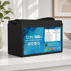 12V LiFePO4 Deep Cycle Battery Lithium Iron Rugged ABS Case Maintenance Free