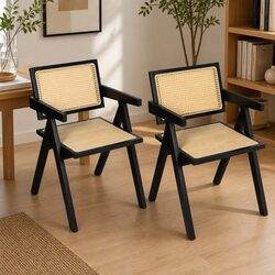 Your New Favorite Wicker Armchair for Any Occasion