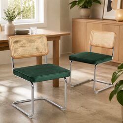 Chic Dining Chairs Set of 2 for Your Home