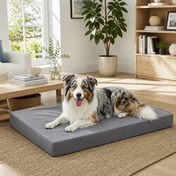Large Dog Bed with Water-resistant Foam, Built to Last