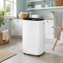 20L/Day Dehumidifier: Your Solution for Humidity Issues