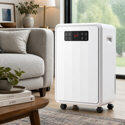 Choose the 70L/Day Dehumidifier for Your Comfort