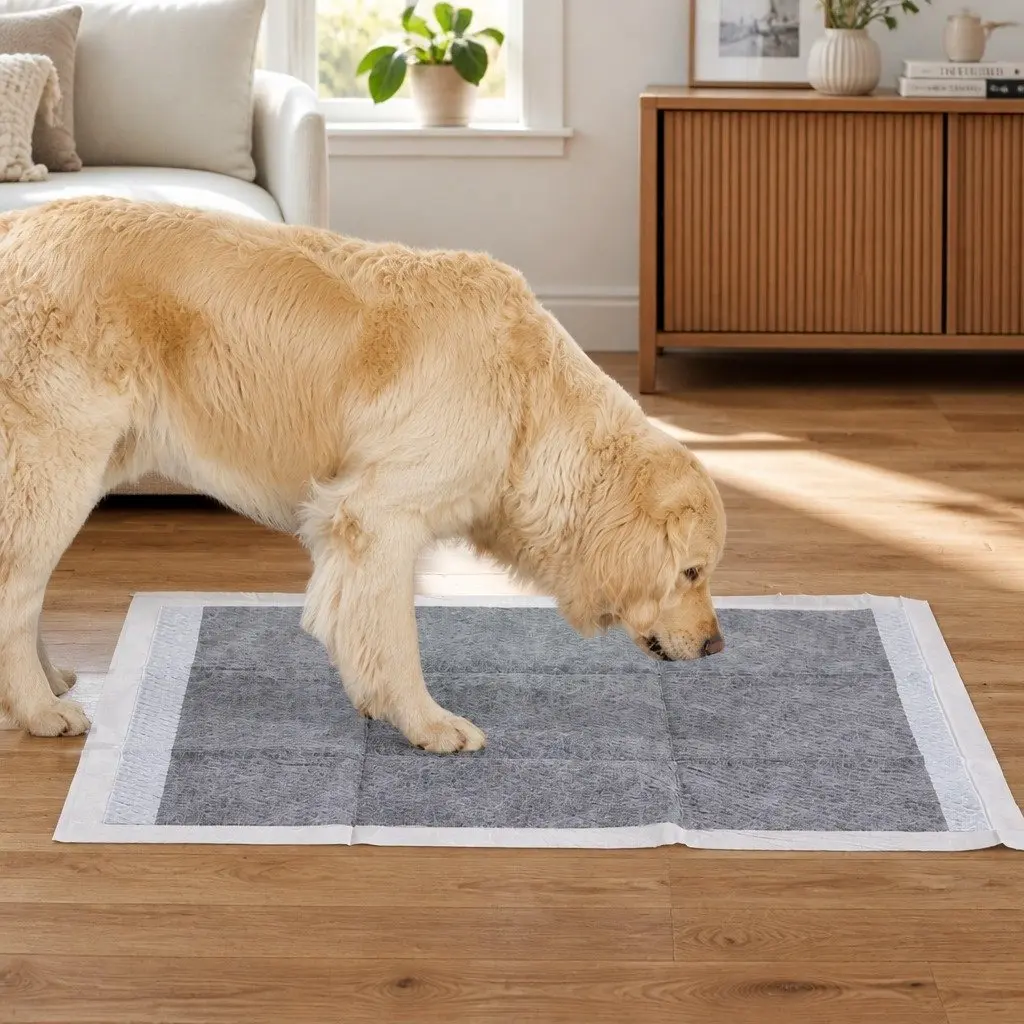 Pet Training Pads 60x60cm Puppy Potty Pads Absorbent Charcoal Odour Control