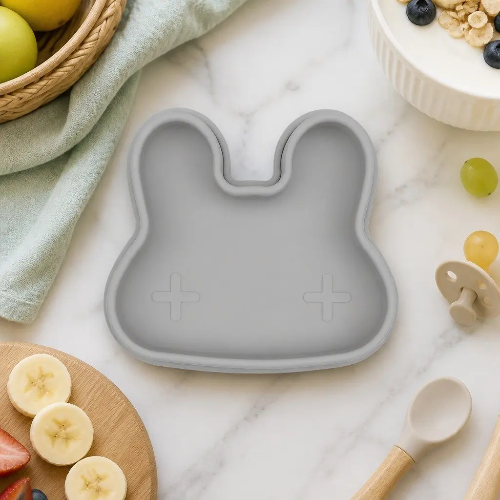 Silicone Bowl Plate Rust Toddler On-The-Go Snacking Travel