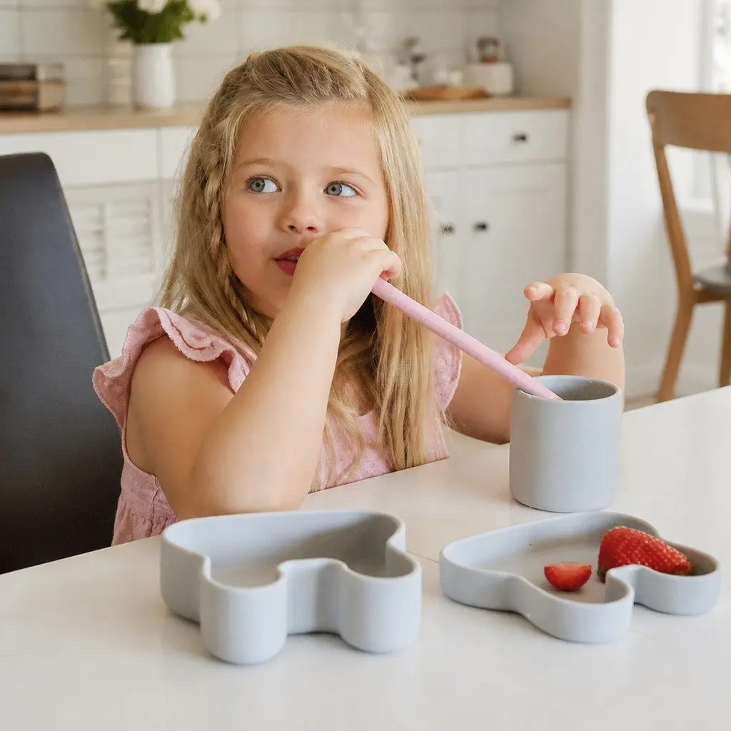 Silicone Toddler Bowl Plate Set Sage Portable Snack Container