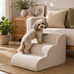 Concise and Effective 3-Tier Dog Ramp Solution