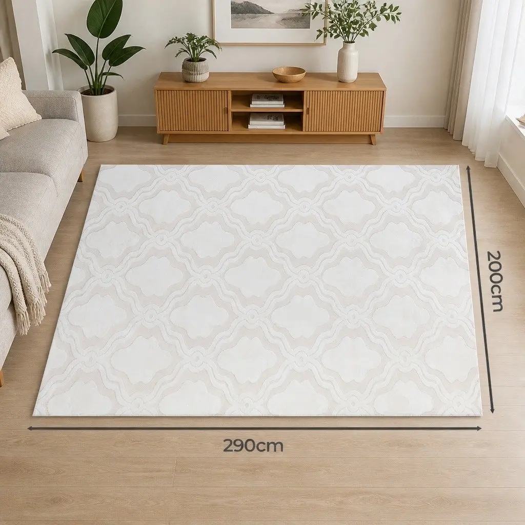 Shaggy Floor Rug Beige 200x290cm 10mm Pile Soft Plush Area Rug for Living Room Bedroom