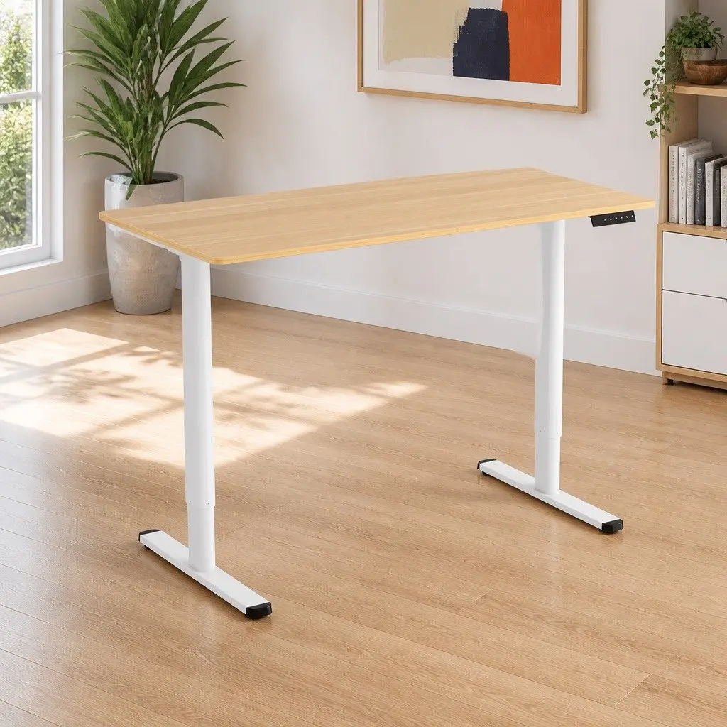 Electric Standing Desk 120cm Motorised Height Adjustable Sit Stand Home Office
