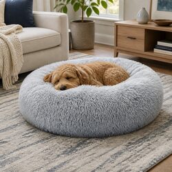 Compact and Reliable Donut-Shaped Pet Bed