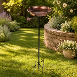 Sturdy Bird Bath Feeder with Large Basin
