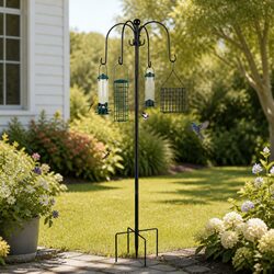 Compact Bird Feeder Station for Your Yard