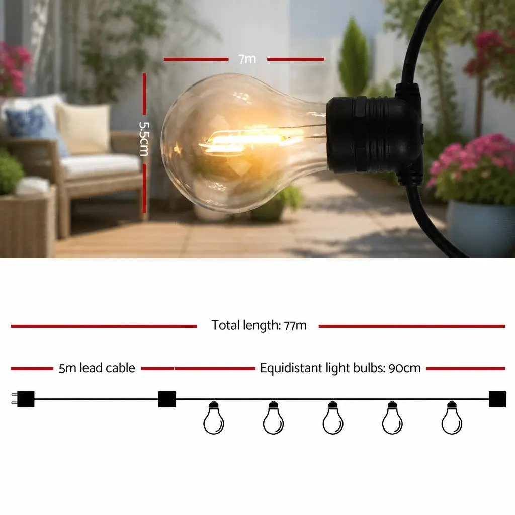 77m Festoon String Lights