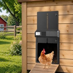 Automatic Chicken Coop Door: Safety and Convenience in One