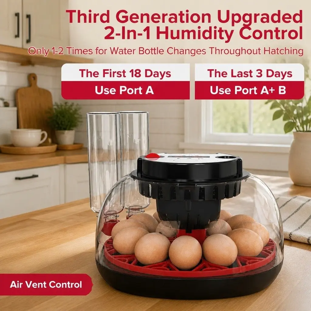 12 Egg Incubator with Easy Controls