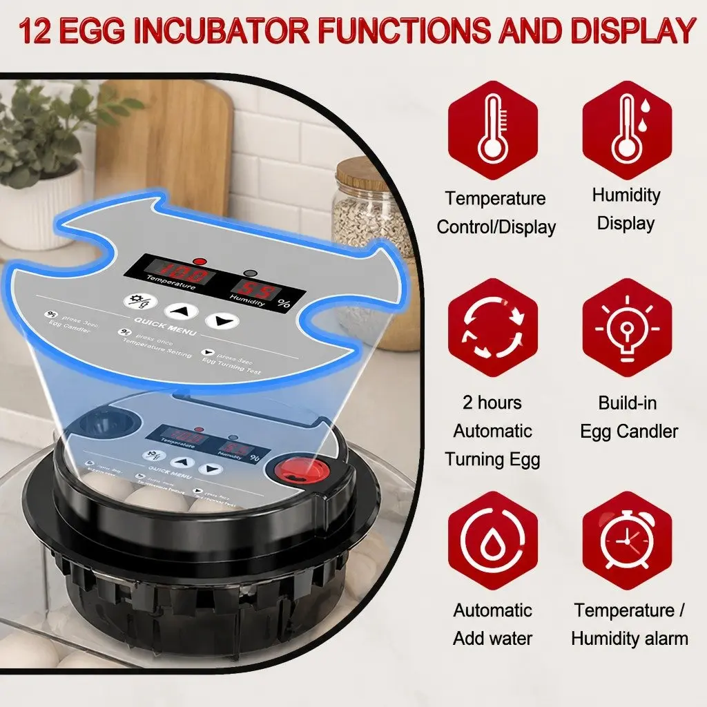 12 Egg Incubator with Easy Controls