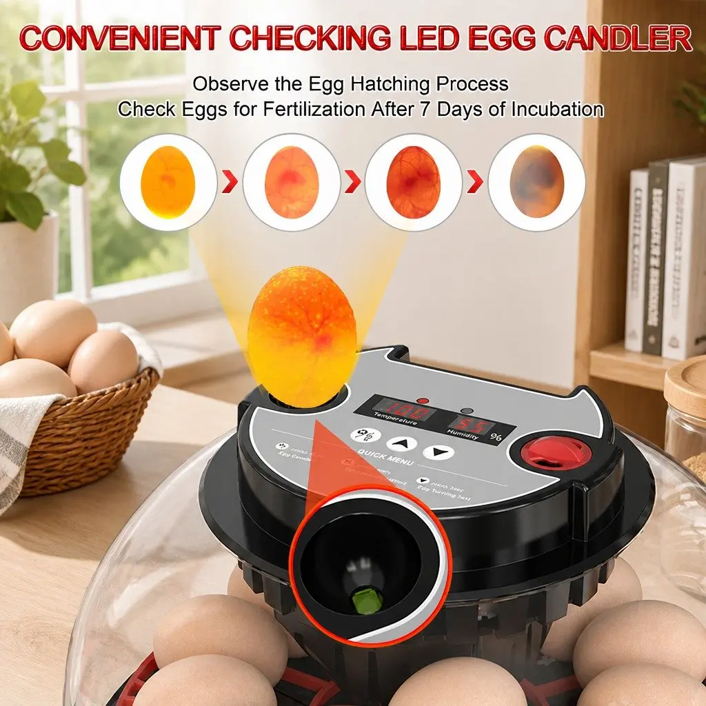 12 Egg Incubator with Easy Controls