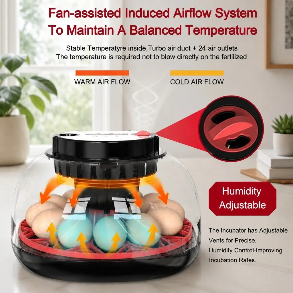 12 Egg Incubator with Easy Controls