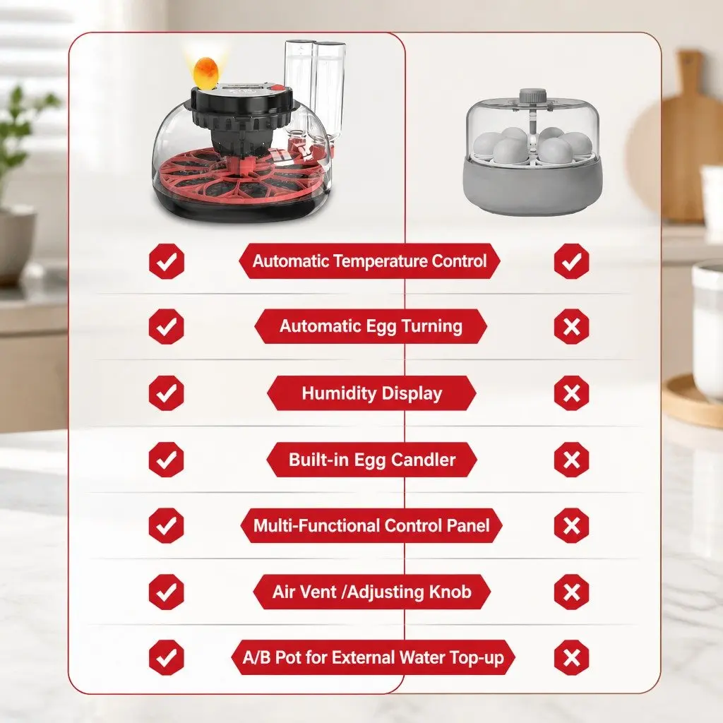 12 Egg Incubator with Easy Controls
