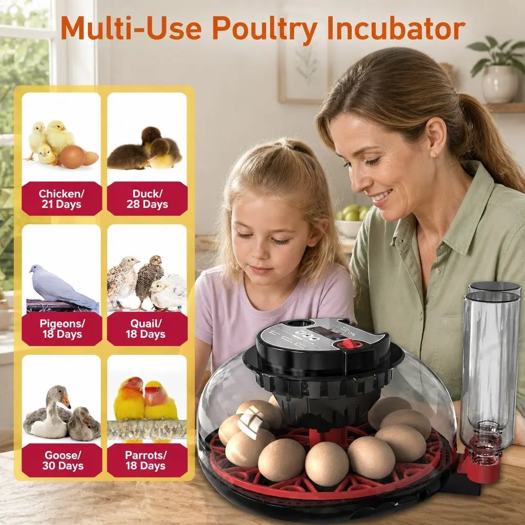 12 Egg Incubator with Easy Controls