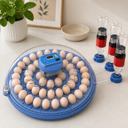 Compact and Efficient 52 Egg Incubator