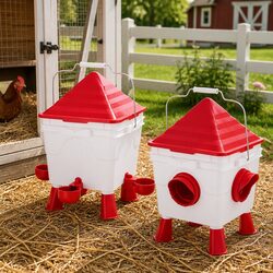 Automatic Chicken Feeder and Waterer: Efficient Design