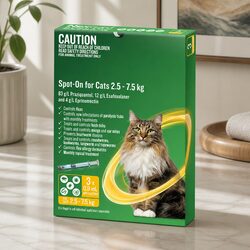 Easy and Effective Spot-On Cats Monthly Care Solution