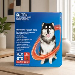 Concise Monthly Parasite Protection Chew for Large Dogs