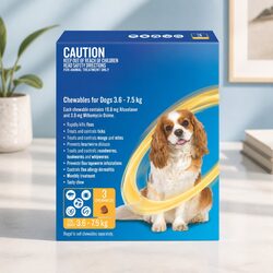 Friendly Monthly Beef Chews for Small Dogs 3 Pack