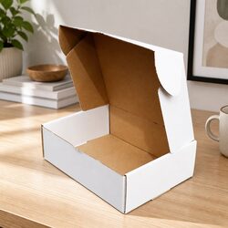White Cardboard Mailer Box 250x180x75mm Self-Locking Die-Cut Flat Pack 100pk