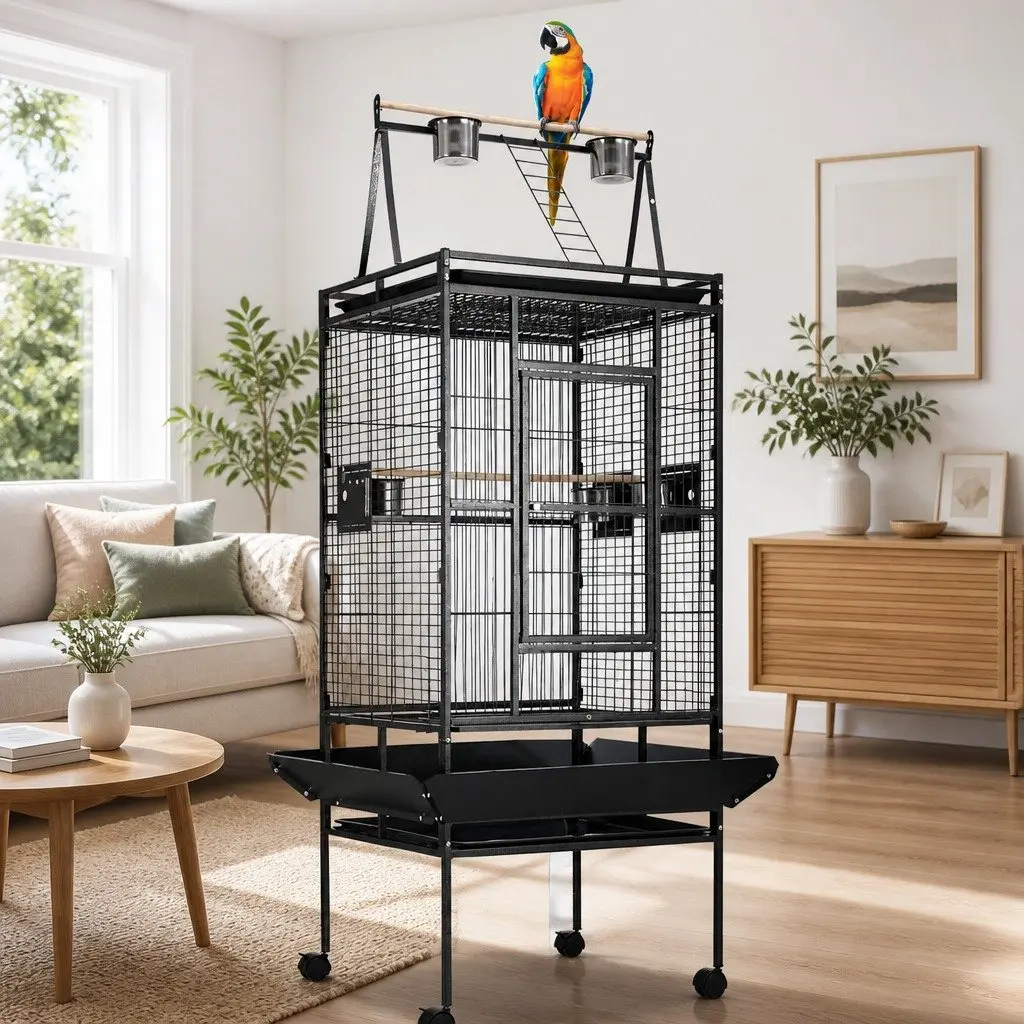 Large Bird Cage Black 173cm Tall Durable Wrought Iron with Perches and Food Bowls