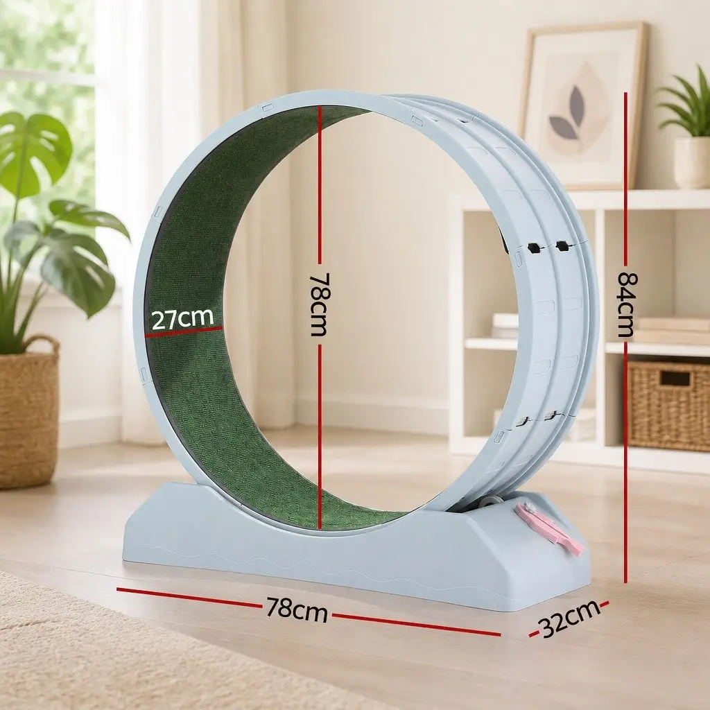 Cat Exercise Wheel Blue 78cm Mute Roller Safety Lock Detachable