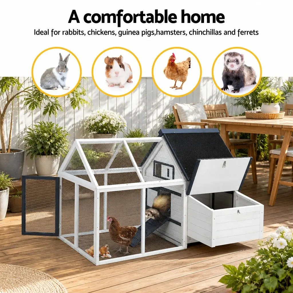 Wooden Chicken Coop Rabbit Hutch Black and White 166cm x 120cm Spacious Enclosure with Integrated Ground Play Area and Foldable Ramp