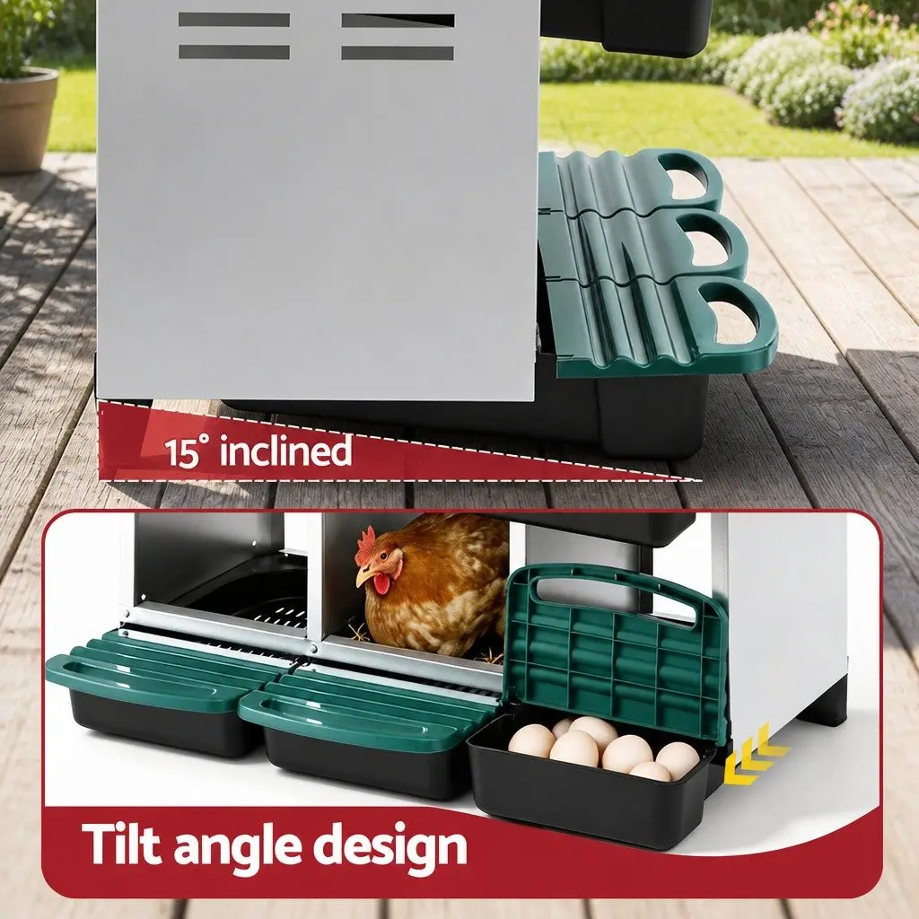 Chicken Nesting Box Green 6 Holes Roll Away Automatic Egg Collection Wall Mounted