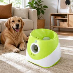 Concise Automatic Dog Ball Launcher for Easy Play