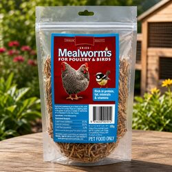 Dried Mealworms 100g: Protein Treat for Your Birds