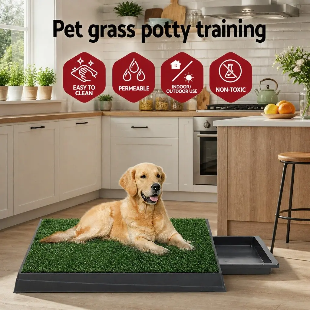 Dog Training Pad with Synthetic Grass Mat 2pk