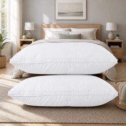 Concise Duck Feather Down Pillow Twin Pack Overview