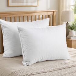 Compact Duck Feather Down Pillow Twin Pack
