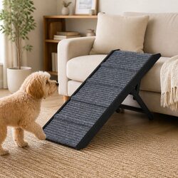 Compact Folding Dog Ramp for Easy Pet Access