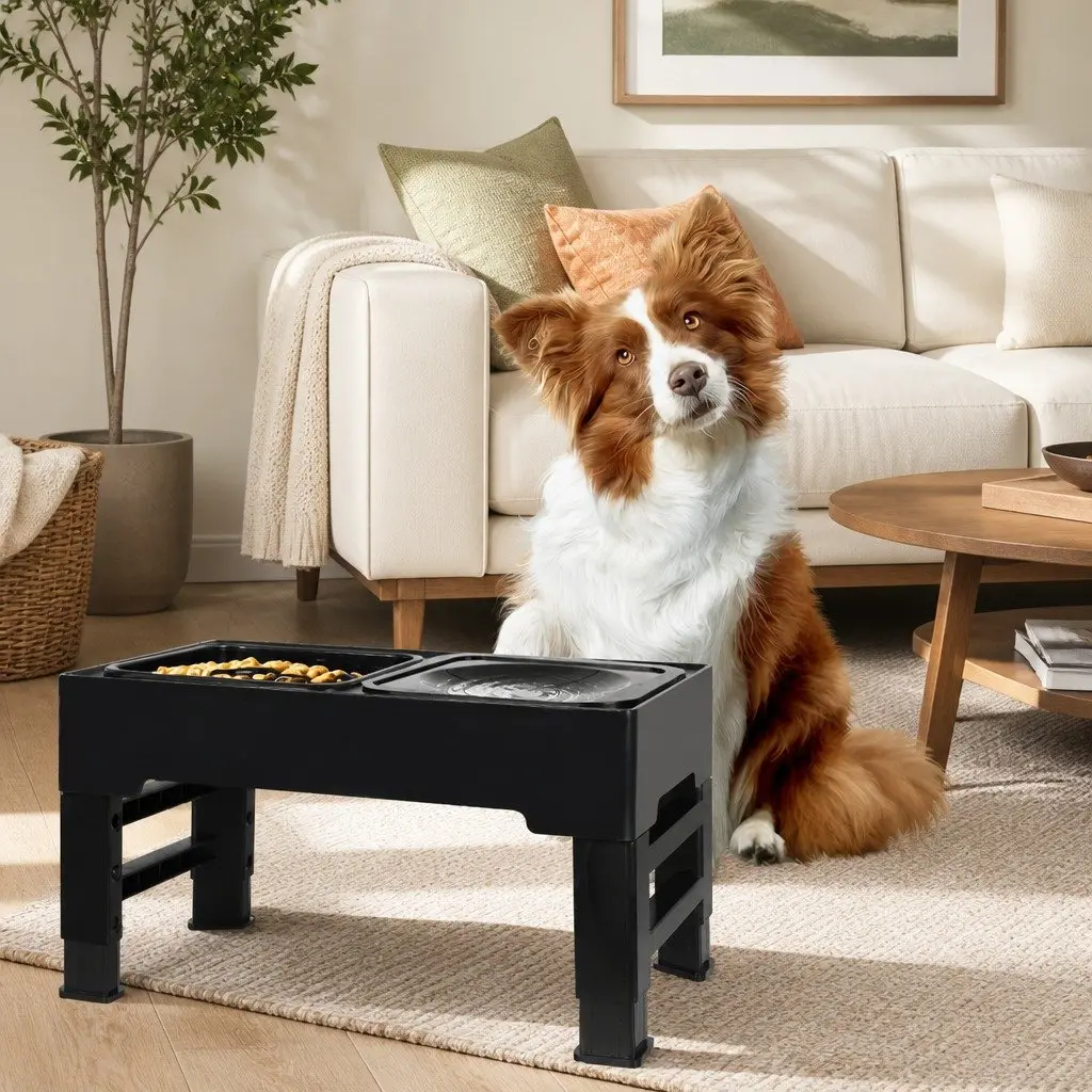 Elevated Pet Feeder Black 4 Height Adjustable Slow Feed Non-Slip Base