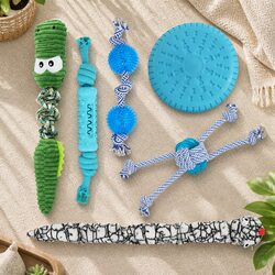Concise and Effective Dog Toy Set for Playtime