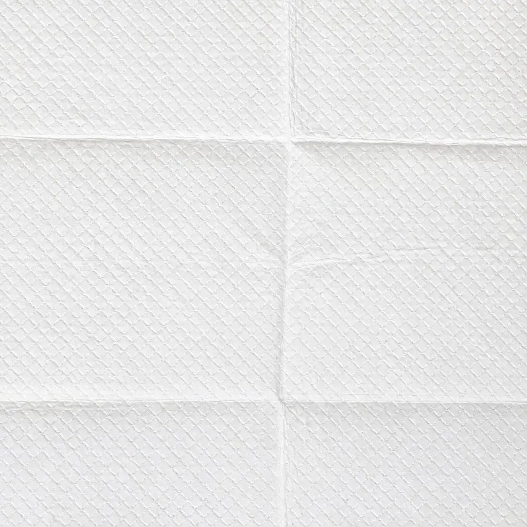 Pet Toilet Training Pads 60x60cm