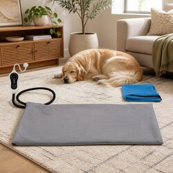 Electric Heated Dog Bed for Pets: A Must-Have